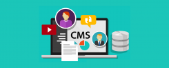 best cms 2021