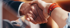 hire seo agency